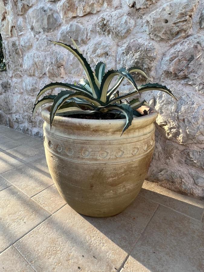 Jakov & Antonia Heritage Estate Hvar Town Exterior photo